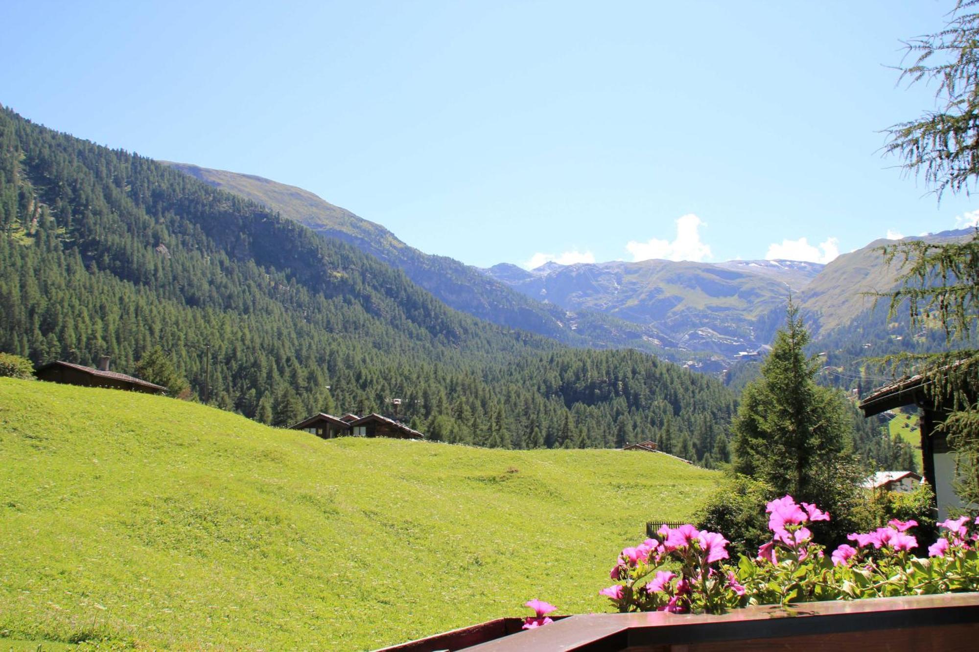 Appartement Haus Pan Zermatt